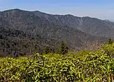 Pinnacle Lead, viewed from Maddron Bald