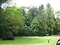 Maes Mawr, Specimen trees in garden.