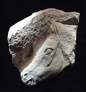 Head of a horse, Magdalenian