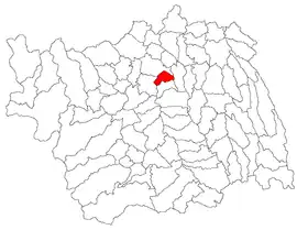 Location in Bacău County