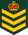 Staff Sergeant