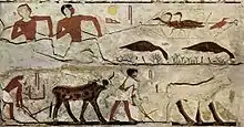 Image 80Hunting game birds and plowing a field, tomb of Nefermaat and his wife Itet (c. 2700 BC) (from Ancient Egypt)