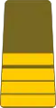 Commandant(Guinea Ground Forces)