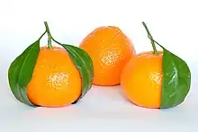 Mandarin orange is a true species (Citrus reticulata); it is one of the progenitors of most cultivated citrus