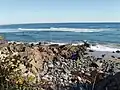 The beach along the Marginal Way, 2008