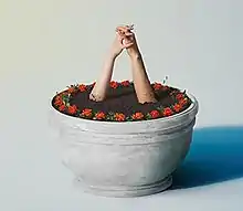 A man and a woman's interlocked hands jut out of a planter lined with red marigolds