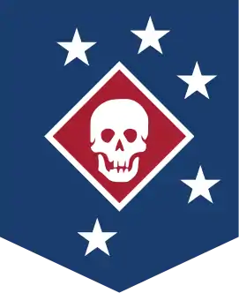 Marine Raiders patch