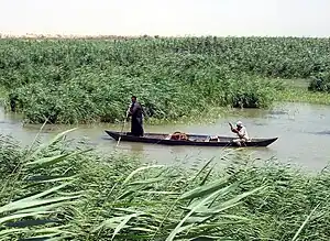 Image 32Marsh Arabs poling a mashoof (from Swamp)