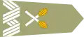 Marshal of Poland shoulder-strap insignia