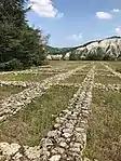 Remains of Etruscan necropolis at Marzabotto