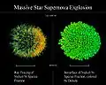 Massive Star Supernovae Explosions