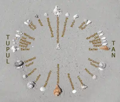 A recreation of Mau Piailug's star compass