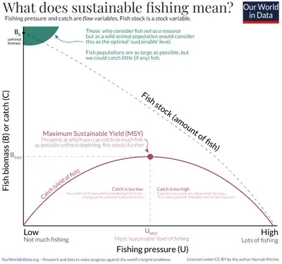 This graph demonstrates the importance of following a specific quota of exploitation to sustain a resource such as a fish population.