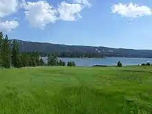 Image 18A wet meadow adjacent to Big Bear Lake, San Bernardino Mountains, California (from Marsh)