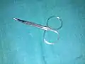 Conjunctival sac scissors