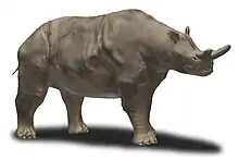 Megacerops reconstruction