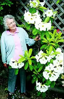 Melva Philipson standing in her garden next to a large Rhododendron nuttallii.