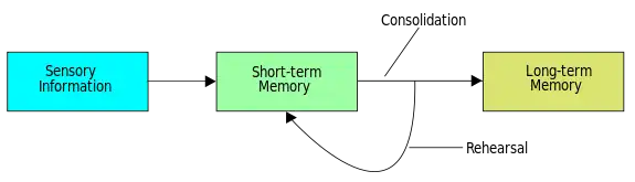 position of consolidation to the information-to-memory process