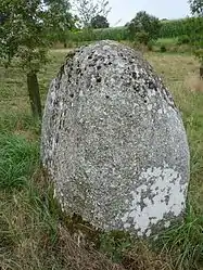 The Menhir du Petit Vauridel, in Plaintel