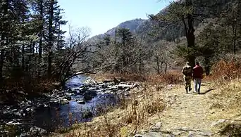 MenmoiTso lake..the jungle trail towards the lake