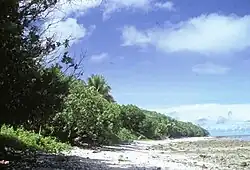 Luxuriant vegetation and beach scene in western Merir