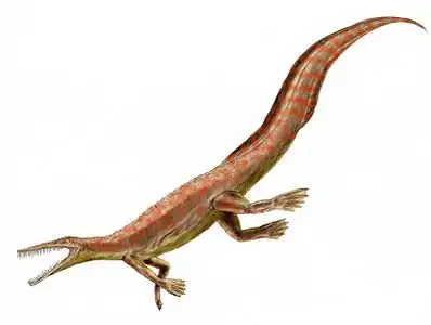 Mesosaurus tenuidens