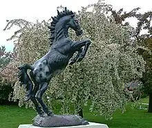 The 8-foot Mesteño at the University of Oklahoma