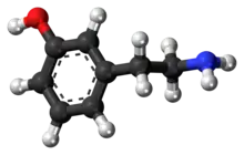 Meta-Tyramine ball and stick model