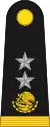 Brigade General