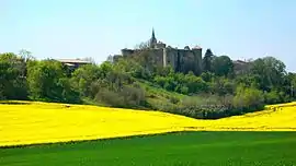 A general view of Montmaur