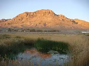 Image 22Wetlands contrast the hot, arid landscape around Middle Spring, Fish Springs National Wildlife Refuge, Utah (from Wetland)