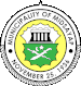 Official seal of Midsayap