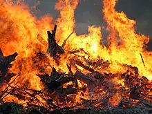 Image 16Midsummer bonfire (kokko) in Mäntsälä (from Culture of Finland)