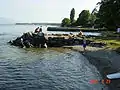 The edge of Lake Geneva (The Public Beach)