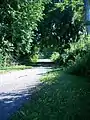 A portion of Milford Road abandoned following the construction of the Marsh Creek dam.