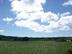 Minamidaitō landscape