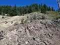 Covered mine shaft above Burke