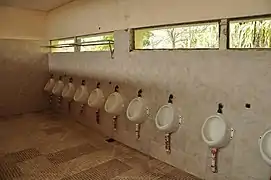 Waterless boys' urinals in Argentina