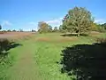 Monken Hadley Common