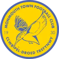 This is the Monmouth Town F.C. crest. The name of the club in English, "Monmouth Town Football Club", is on the top of the circle, an image of the Kingfisher in the middle with the numbers 19 and 30 on either side of the bird. The name of the club in Welsh, "Clwb Pêl-Droed Trefynwy", adorns the bottom of the circle.