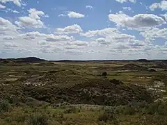 Badlands in eastern Montana (Hell Creek Formation)