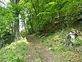 Mt. Tavagnone, mule track leading to Dos di Sas, and over the Bocca della Véna pass to Mt. Camiolo or Droane