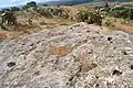 Postholes of nearby huts of the prehistoric period