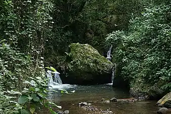 Monte del Estado in Maricao