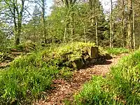 A possible entrance way into the old castle.