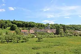 A general view of Montigny-lès-Vaucouleurs