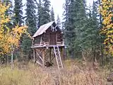 A wooden structure with a ladder