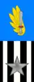 66th Airmobile Infantry Regiment "Trieste"