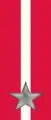 91st, 92nd Regiment "Basilicata" ("Superga")