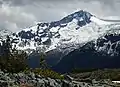 Mount Davidson from Singing Pass area